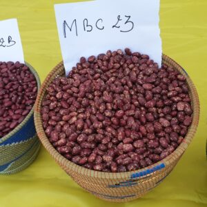 Imbuto yibishyimbo 1KG